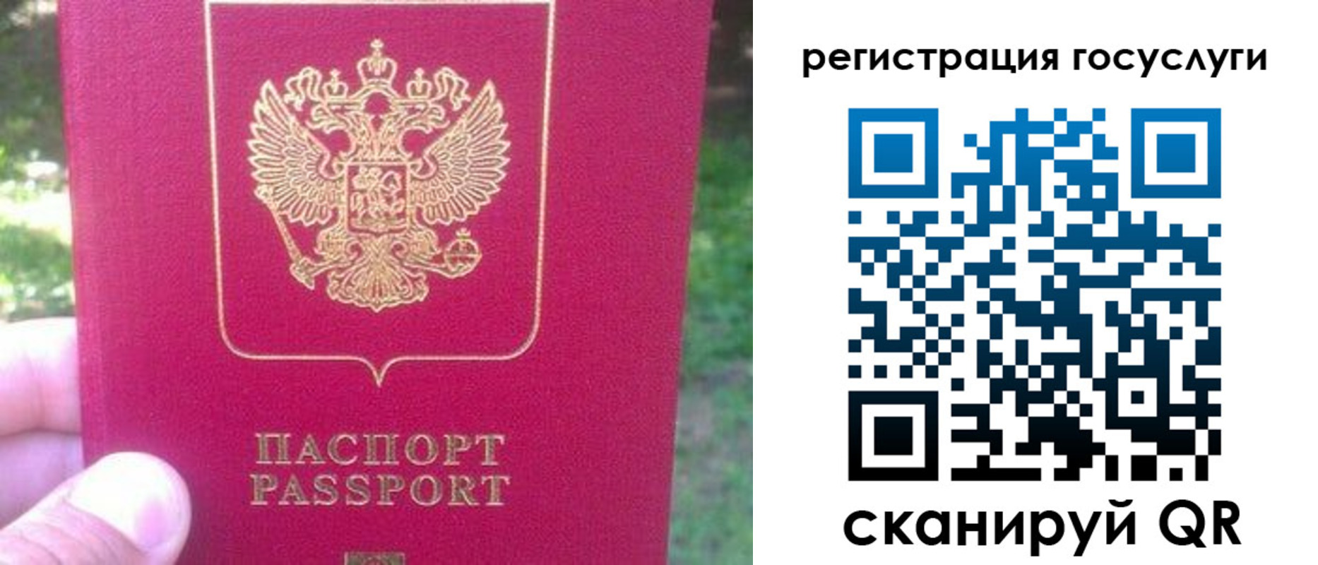 временная прописка в Менделеевске